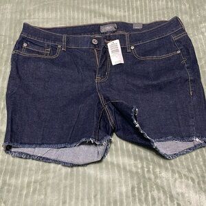 NWT Torrid 14 shorts 5” inseam